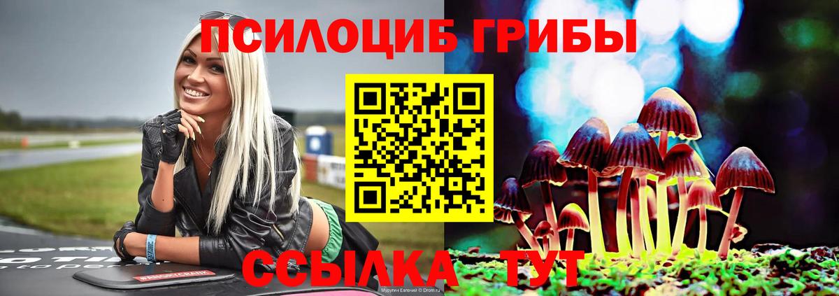 Псилоцибиновые грибы мицелий Великие Луки